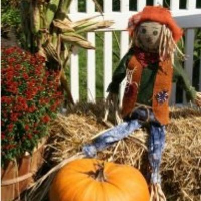 scarecrows autumnal decoy